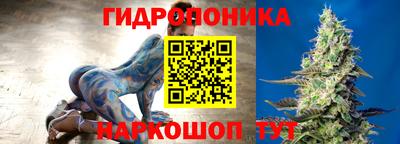 spice Анжеро-Судженск
