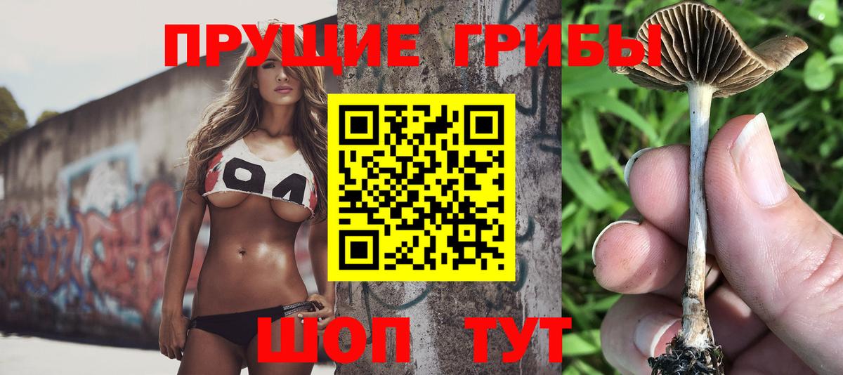 Псилоцибиновые грибы MAGIC MUSHROOMS  Вход с VPN  как найти   Воркута 