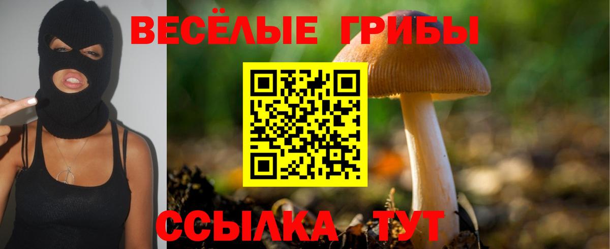 Псилоцибиновые грибы MAGIC MUSHROOMS Воркута